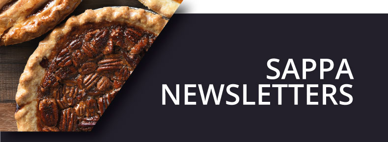 Sappa Block Newsletters Hover